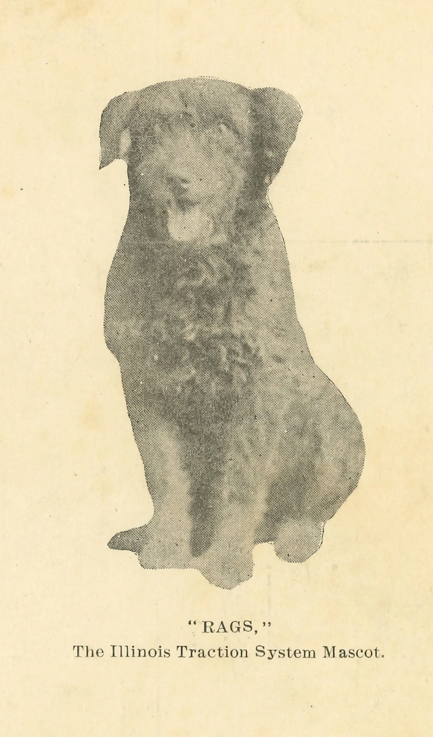 a yellow paper and faded print shows a dog with his mouth open, tongue hanging out. He has dark fur that is wavy, thick all the way down to his furry paws. He has floppy ears. He has four legs in this image. Below the image of the dog it says